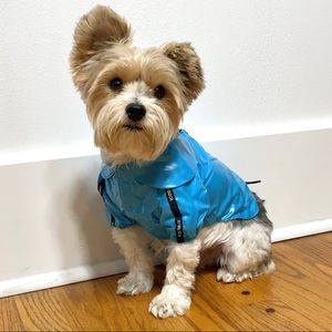 Royal Pooch, Blue Raincoat, XS